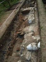 Cronica Cercetărilor Arheologice din România, Campania 2011. Raportul nr. 19