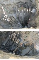 Cronica Cercetărilor Arheologice din România, Campania 2011. Raportul nr. 22