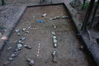 Cronica Cercetărilor Arheologice din România, Campania 2011. Raportul nr. 28