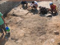 Cronica Cercetărilor Arheologice din România, Campania 2011. Raportul nr. 30