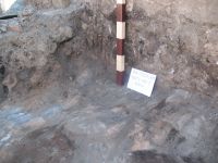 Cronica Cercetărilor Arheologice din România, Campania 2011. Raportul nr. 30