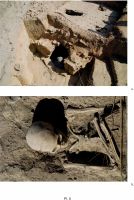 Cronica Cercetărilor Arheologice din România, Campania 2011. Raportul nr. 32