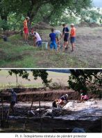 Cronica Cercetărilor Arheologice din România, Campania 2011. Raportul nr. 39
