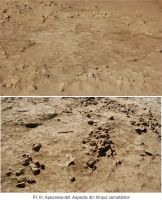 Cronica Cercetărilor Arheologice din România, Campania 2011. Raportul nr. 39