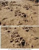 Cronica Cercetărilor Arheologice din România, Campania 2011. Raportul nr. 39