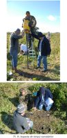 Cronica Cercetărilor Arheologice din România, Campania 2011. Raportul nr. 43