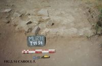 Cronica Cercetărilor Arheologice din România, Campania 2011. Raportul nr. 45.<br /> Sectorul SECTOR-TURNUL-11.