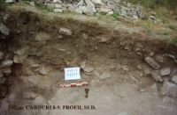 Cronica Cercetărilor Arheologice din România, Campania 2011. Raportul nr. 45.<br /> Sectorul SECTOR-TURNUL-11.