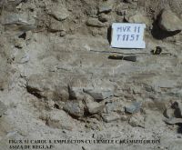 Cronica Cercetărilor Arheologice din România, Campania 2011. Raportul nr. 45.<br /> Sectorul SECTOR-TURNUL-11.