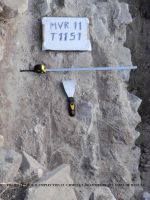 Cronica Cercetărilor Arheologice din România, Campania 2011. Raportul nr. 45.<br /> Sectorul SECTOR-TURNUL-11.