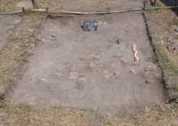 Cronica Cercetărilor Arheologice din România, Campania 2011. Raportul nr. 45.<br /> Sectorul sector-strada-de-acces-spre-dunare.