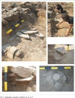 Cronica Cercetărilor Arheologice din România, Campania 2011. Raportul nr. 46
