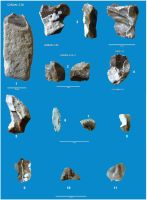 Cronica Cercetărilor Arheologice din România, Campania 2011. Raportul nr. 54