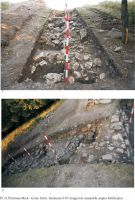 Cronica Cercetărilor Arheologice din România, Campania 2011. Raportul nr. 58