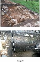 Cronica Cercetărilor Arheologice din România, Campania 2011. Raportul nr. 61
