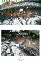 Cronica Cercetărilor Arheologice din România, Campania 2011. Raportul nr. 61