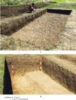 Cronica Cercetărilor Arheologice din România, Campania 2011. Raportul nr. 64