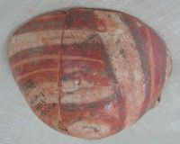 Cronica Cercetărilor Arheologice din România, Campania 2011. Raportul nr. 69