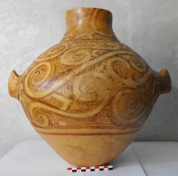 Cronica Cercetărilor Arheologice din România, Campania 2011. Raportul nr. 69