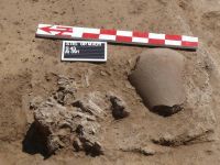 Cronica Cercetărilor Arheologice din România, Campania 2011. Raportul nr. 73