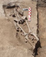 Cronica Cercetărilor Arheologice din România, Campania 2011. Raportul nr. 73