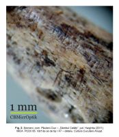 Cronica Cercetărilor Arheologice din România, Campania 2011. Raportul nr. 77.<br /> Sectorul IMDA.
