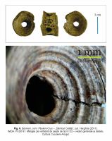 Cronica Cercetărilor Arheologice din România, Campania 2011. Raportul nr. 77.<br /> Sectorul IMDA.