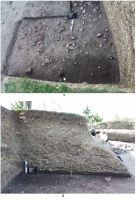 Cronica Cercetărilor Arheologice din România, Campania 2011. Raportul nr. 77