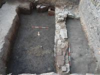 Cronica Cercetărilor Arheologice din România, Campania 2011. Raportul nr. 82