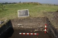 Cronica Cercetărilor Arheologice din România, Campania 2011. Raportul nr. 85