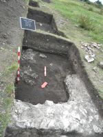 Cronica Cercetărilor Arheologice din România, Campania 2011. Raportul nr. 85