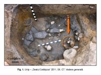 Cronica Cercetărilor Arheologice din România, Campania 2011. Raportul nr. 87.<br /> Sectorul IMDA.