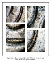 Cronica Cercetărilor Arheologice din România, Campania 2011. Raportul nr. 87.<br /> Sectorul IMDA.