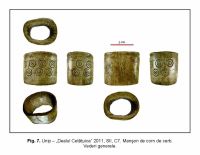 Cronica Cercetărilor Arheologice din România, Campania 2011. Raportul nr. 87.<br /> Sectorul IMDA.