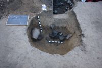 Cronica Cercetărilor Arheologice din România, Campania 2011. Raportul nr. 87