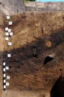 Cronica Cercetărilor Arheologice din România, Campania 2011. Raportul nr. 87