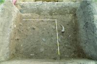Cronica Cercetărilor Arheologice din România, Campania 2011. Raportul nr. 89