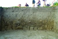 Cronica Cercetărilor Arheologice din România, Campania 2011. Raportul nr. 89