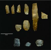 Cronica Cercetărilor Arheologice din România, Campania 2011. Raportul nr. 89