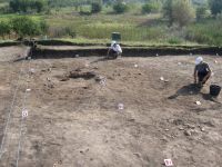 Cronica Cercetărilor Arheologice din România, Campania 2011. Raportul nr. 91