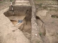 Cronica Cercetărilor Arheologice din România, Campania 2011. Raportul nr. 92