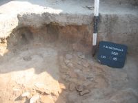 Cronica Cercetărilor Arheologice din România, Campania 2011. Raportul nr. 92