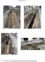 Cronica Cercetărilor Arheologice din România, Campania 2011. Raportul nr. 99