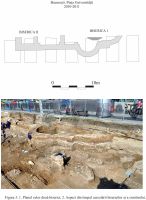 Cronica Cercetărilor Arheologice din România, Campania 2011. Raportul nr. 102