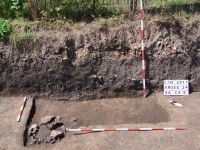 Cronica Cercetărilor Arheologice din România, Campania 2011. Raportul nr. 108