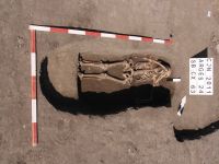 Cronica Cercetărilor Arheologice din România, Campania 2011. Raportul nr. 108