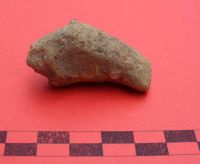 Cronica Cercetărilor Arheologice din România, Campania 2011. Raportul nr. 109