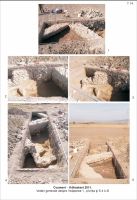 Cronica Cercetărilor Arheologice din România, Campania 2011. Raportul nr. 110
