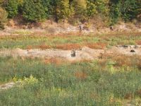 Cronica Cercetărilor Arheologice din România, Campania 2011. Raportul nr. 113