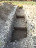 Cronica Cercetărilor Arheologice din România, Campania 2011. Raportul nr. 113
